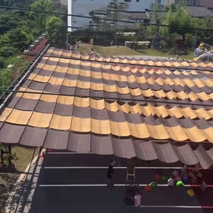 wave canopy